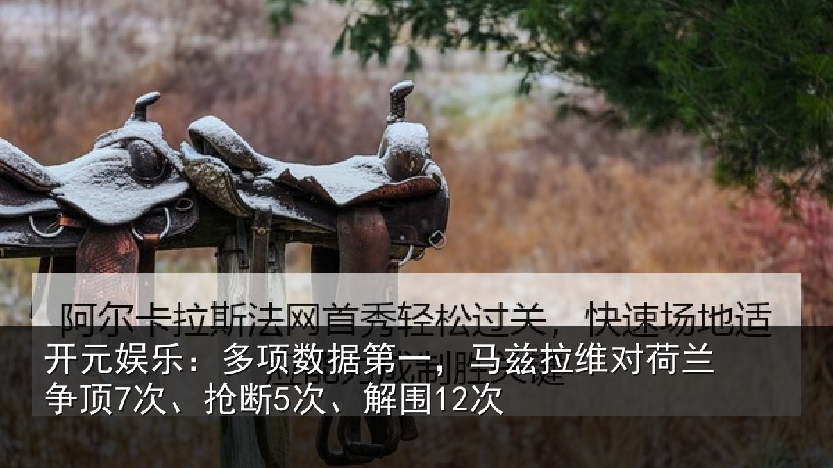 开元娱乐：多项相关情况对荷兰相关情况12次