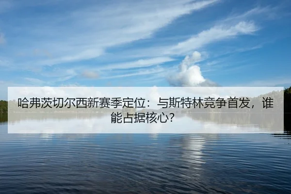 ha-fu-ci-qie-er-xi-xin-sai-ji-ding-wei-yu-si-te-lin-jing-zheng-shou-fa-shui-neng-zhan-ju-he-xin-2-336.jpg