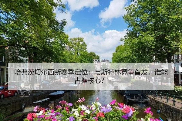 ha-fu-ci-qie-er-xi-xin-sai-ji-ding-wei-yu-si-te-lin-jing-zheng-shou-fa-shui-neng-zhan-ju-he-xin-3-419.jpg